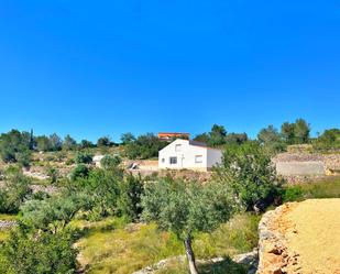 Exterior view of House or chalet for sale in Tortosa