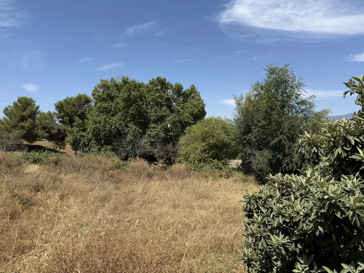 Terreno residenziale in vendita a San Pedro de Alcántara, imagen 6