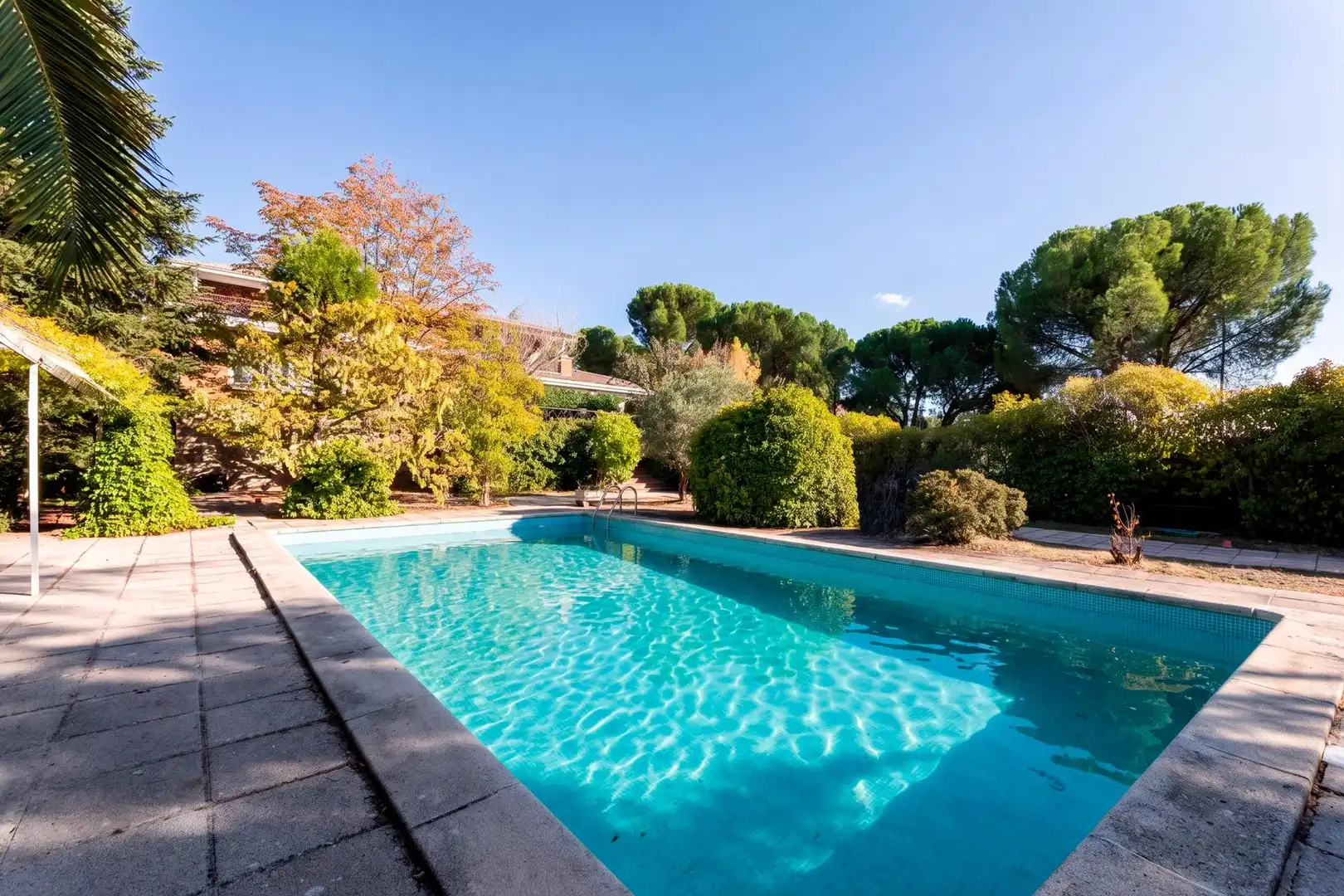Piscina de Casa o xalet en venda en El Bosque