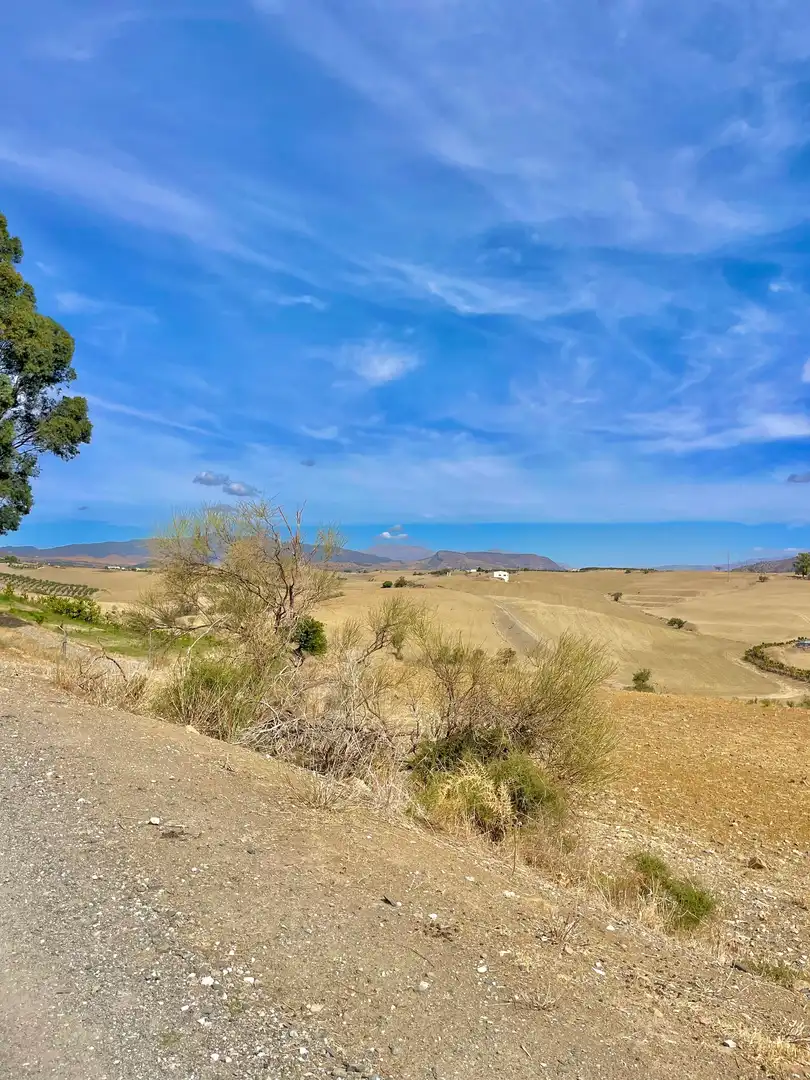 Grundstücke und Bauplätze zum Verkauf in Casalpalma - Fahala, imagen 7