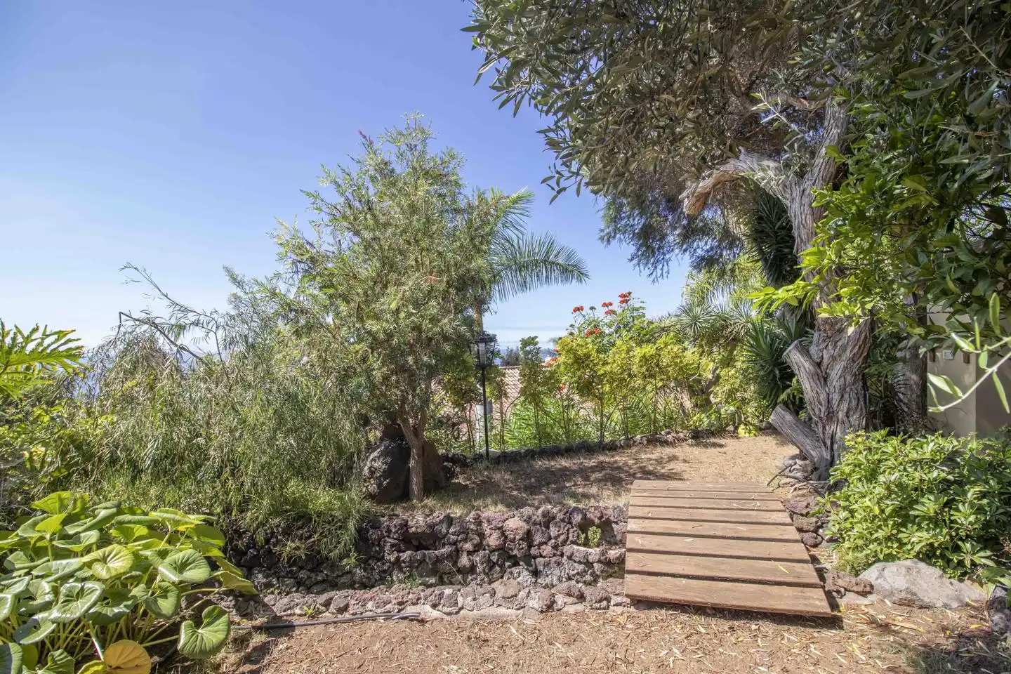 Jardí de Casa adosada en venda en Santa Úrsula amb Jardí privat, Terrassa i Piscina