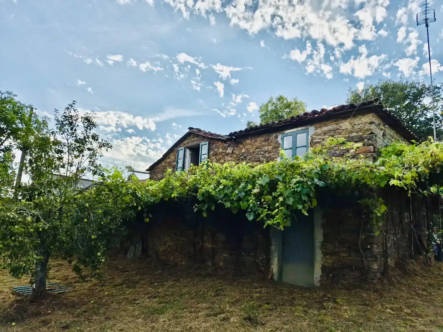 Vista exterior de Casa o xalet en venda en Touro