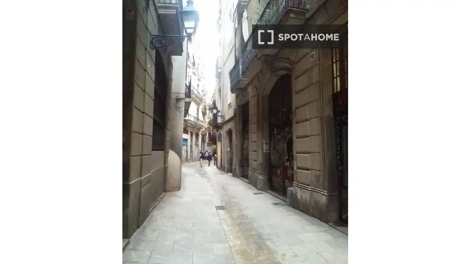Appartamento con terrazza in affitto a Ciutat Vella, imagen 16