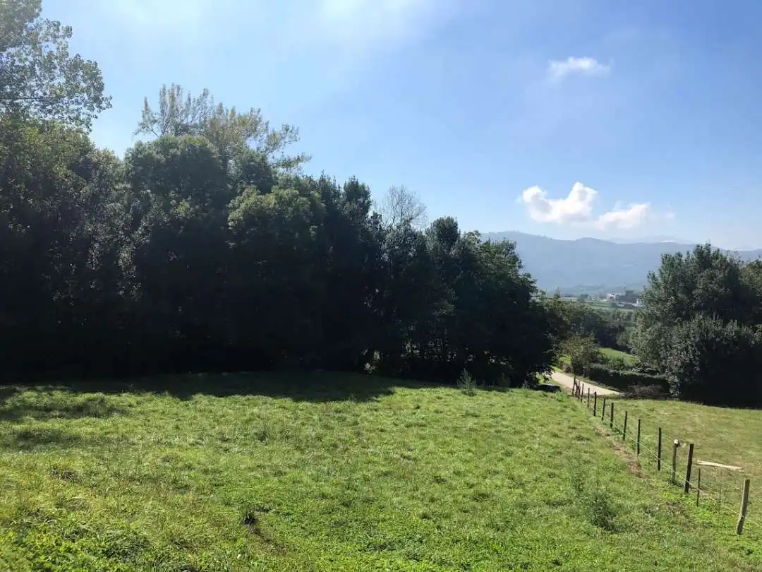Grundstücke und Bauplätze zum Verkauf in Llanera, imagen 5