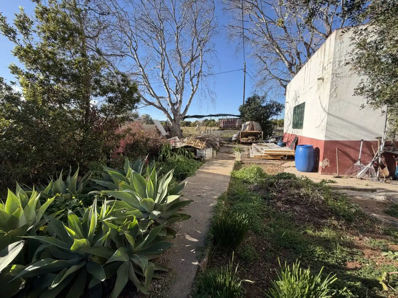 Jardí de Casa o xalet en venda en Castellón de la Plana / Castelló de la Plana amb Jardí privat i Terrassa