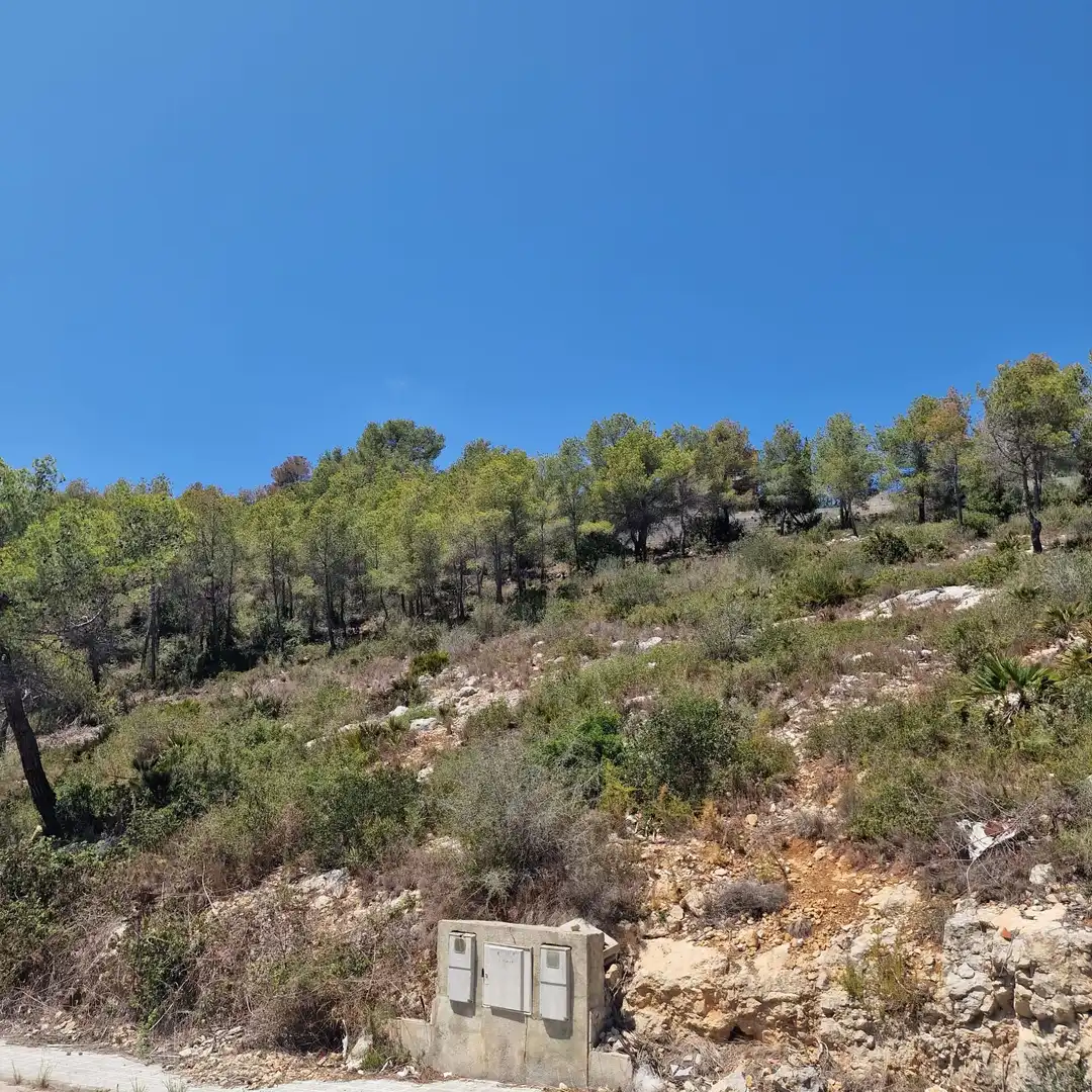 Terreno residencial en venta en Avenida de los Rosales 38, imagen 6