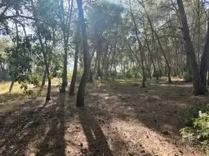 Rustikales Grundstück zum Verkauf in Partida Cumbres de Calicanto, imagen 14