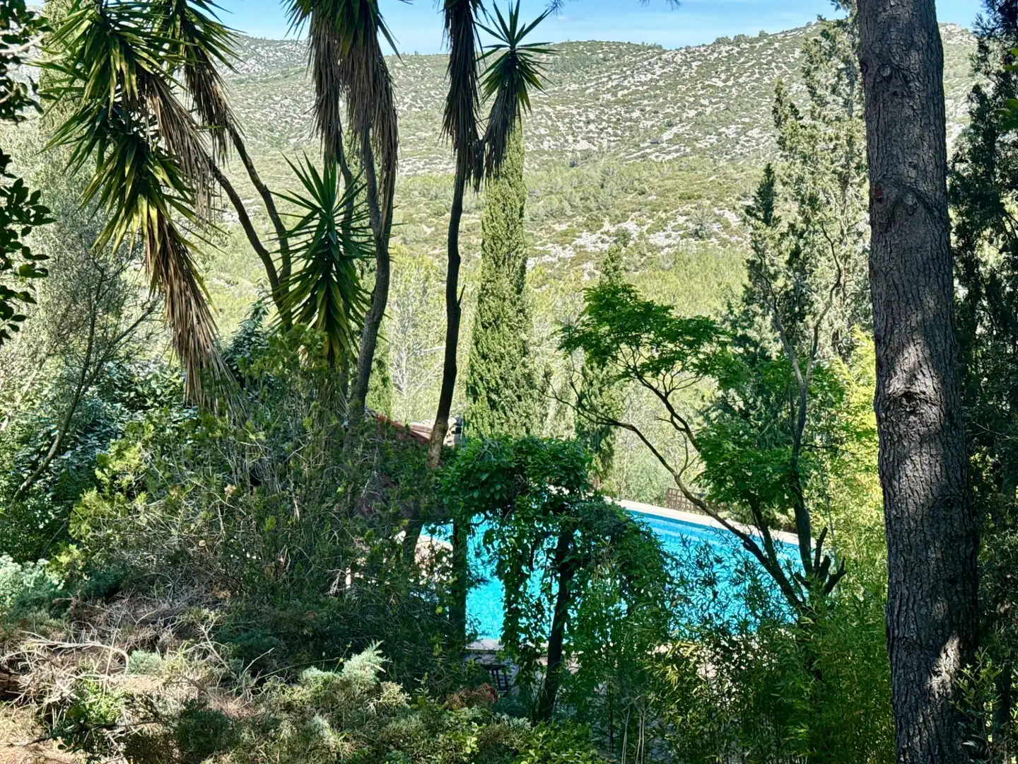 Piscina de Casa o xalet en venda en Olivella amb Calefacció, Jardí privat i Terrassa