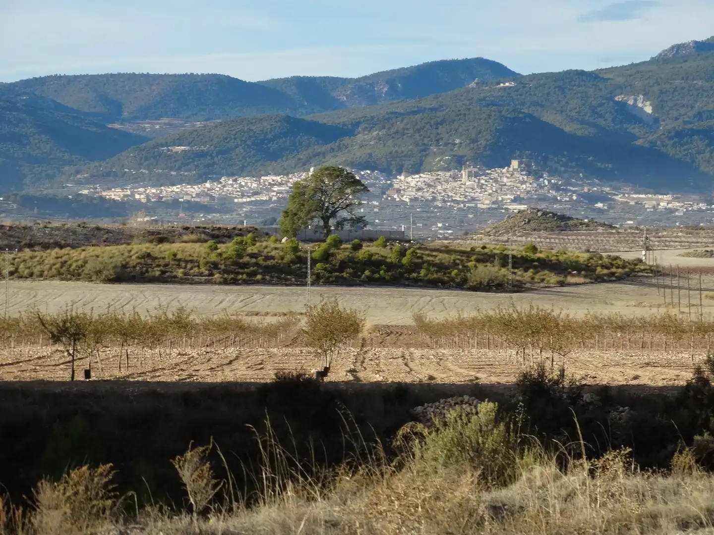 Terreni e lotti in vendita a Moratalla