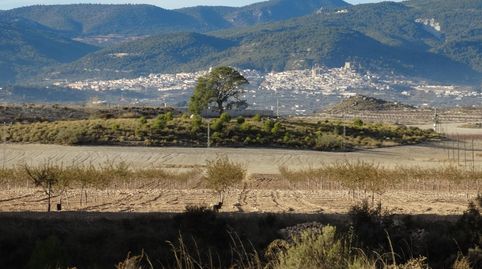 Exclusiva finca rústica de ensueño con infinitas posibilidades