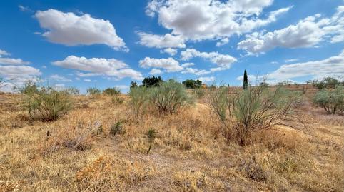 Photo 5 of Residential for sale in Buenavista - Valparaíso - La Legua, Toledo