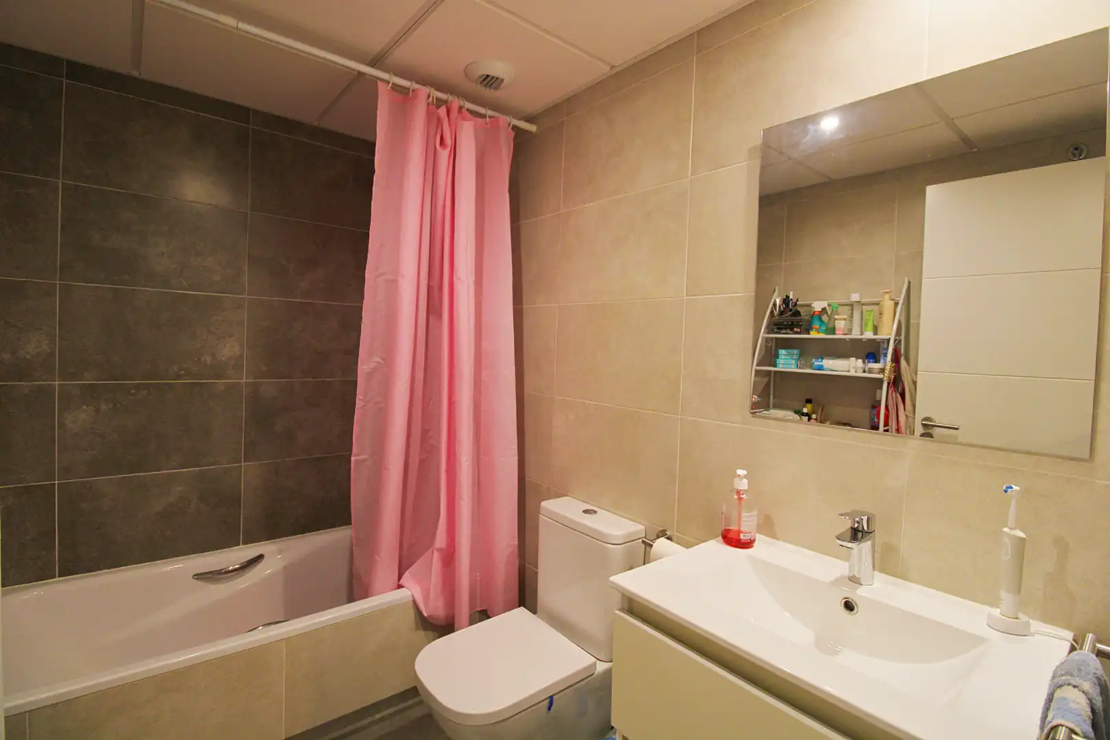 Apartments for rent in Centro