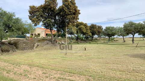 Foto 4 de Casa o xalet en venda a Arroyo de la Luz, Cáceres
