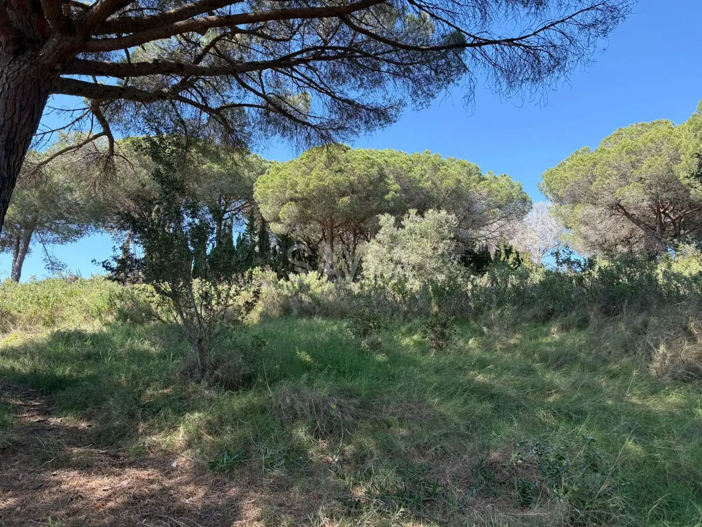 Grundstücke zum Verkauf in Sant Vicenç de Montalt