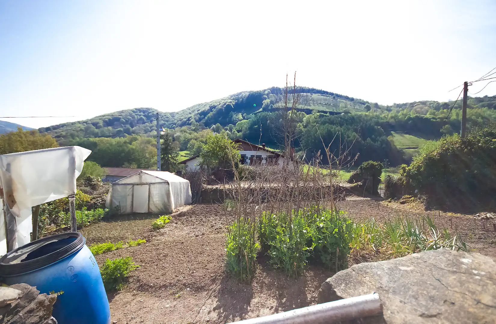 Jardí de Residencial en venda en Areso