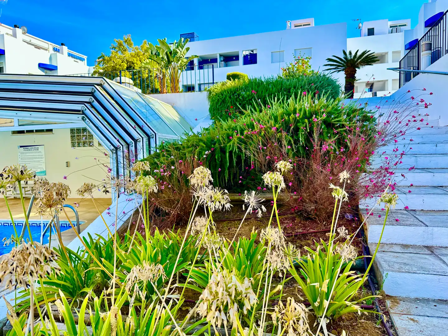 Apartment with pool for sale in Avenida del Deporte 4, imagen 18