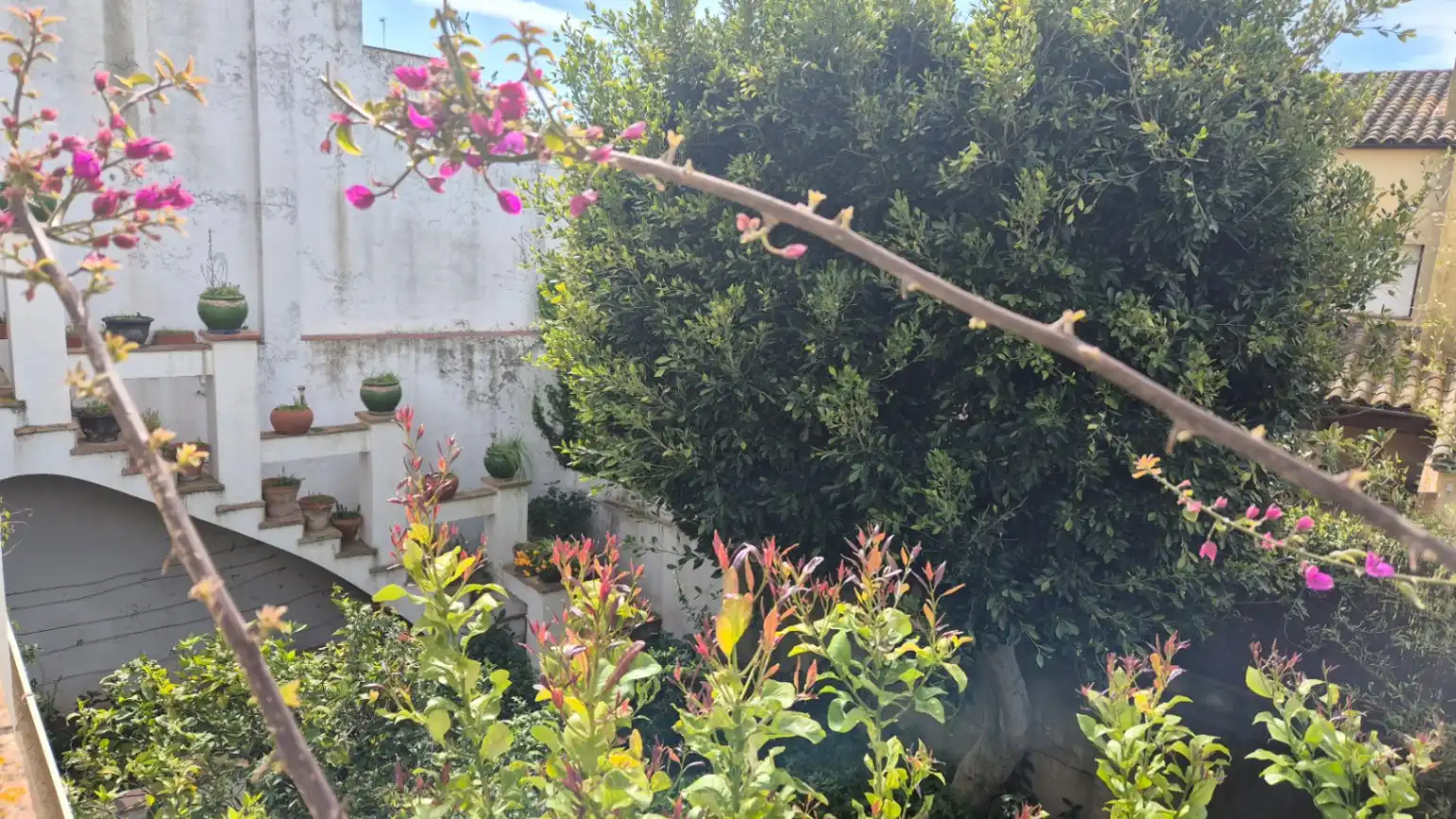 Jardí de Finca rústica en venda en Palafrugell amb Aire condicionat, Calefacció i Jardí privat