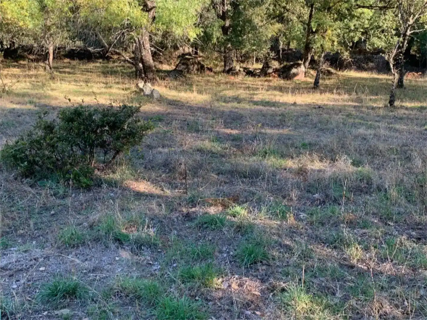 Finca rústica en venta en La Adrada 
