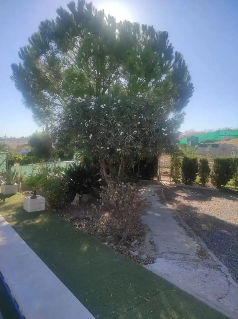 Jardín de Finca rústica en venta en Alhaurín El Grande con Aire acondicionado, Jardín privado y Trastero