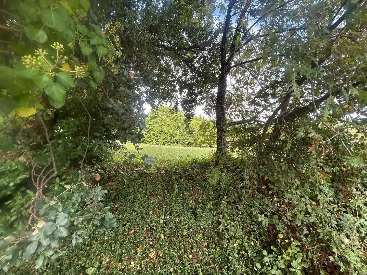 Wohnbaugrundstück zum Verkauf in Palmeira, imagen 5