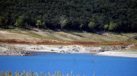 Solar rústic de 3000 m2  a Lladó Girona, immagine 2