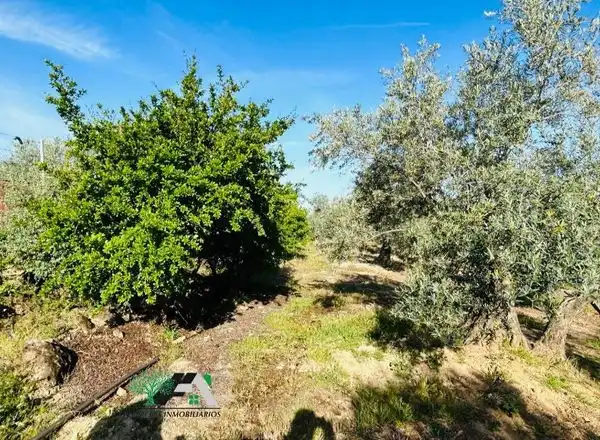 Terreni e lotti in vendita a Baeza, imagen 26