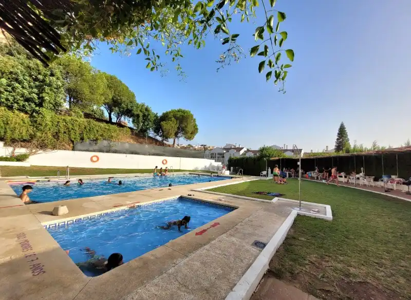 Piso en venta en Calle Jerez Perchet, 24, Cortijo Bazán - Los Casinis - Los Cipreses