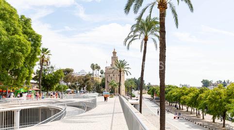 Photo 3 of Apartment for sale in Arenal - Museo, Sevilla