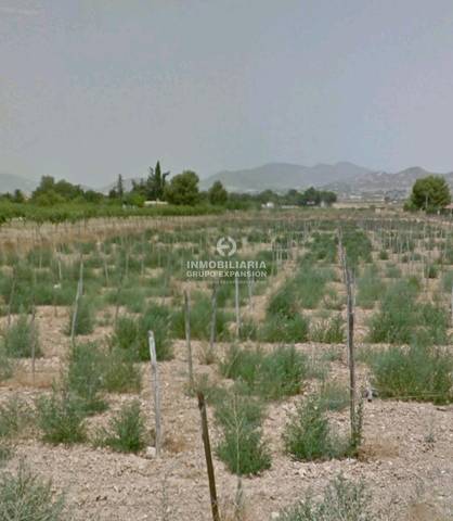 Terreno en Venta en Prosperidad