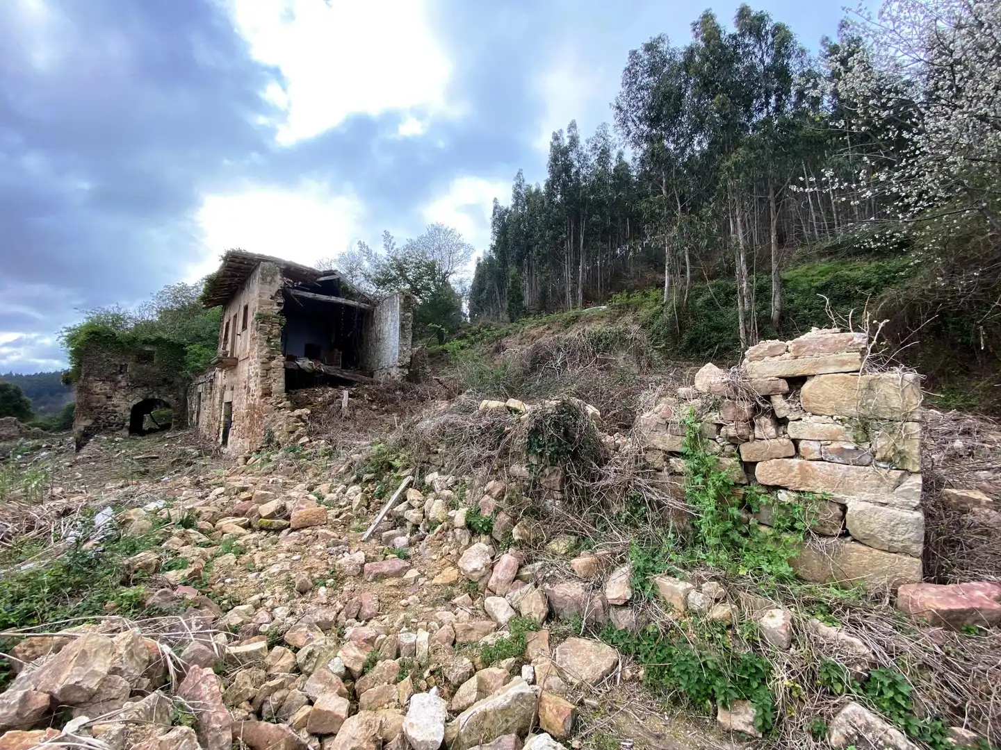 Terreno rustico in vendita a Tazones - Argüero, imagen 19