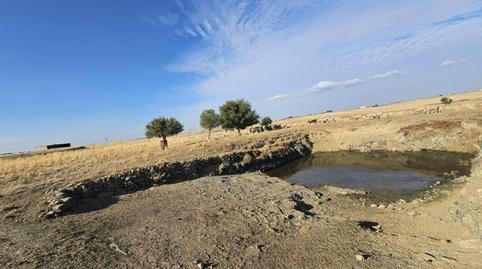Photo 3 of Land for sale in Cpqw+w5 Sierra de Fuentes, Spain, -1, Sierra de Fuentes, Cáceres
