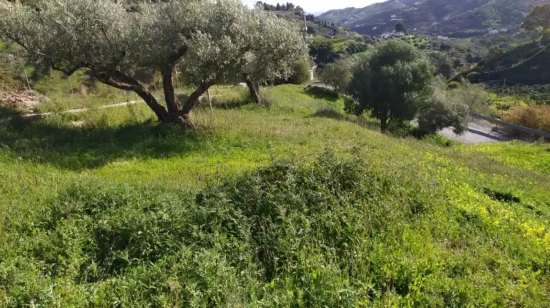 Rural land for sale in Calle de la Molineta 25, imagen 2