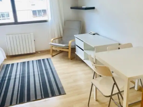 Sala de estar de Estudio de alquiler en Madrid