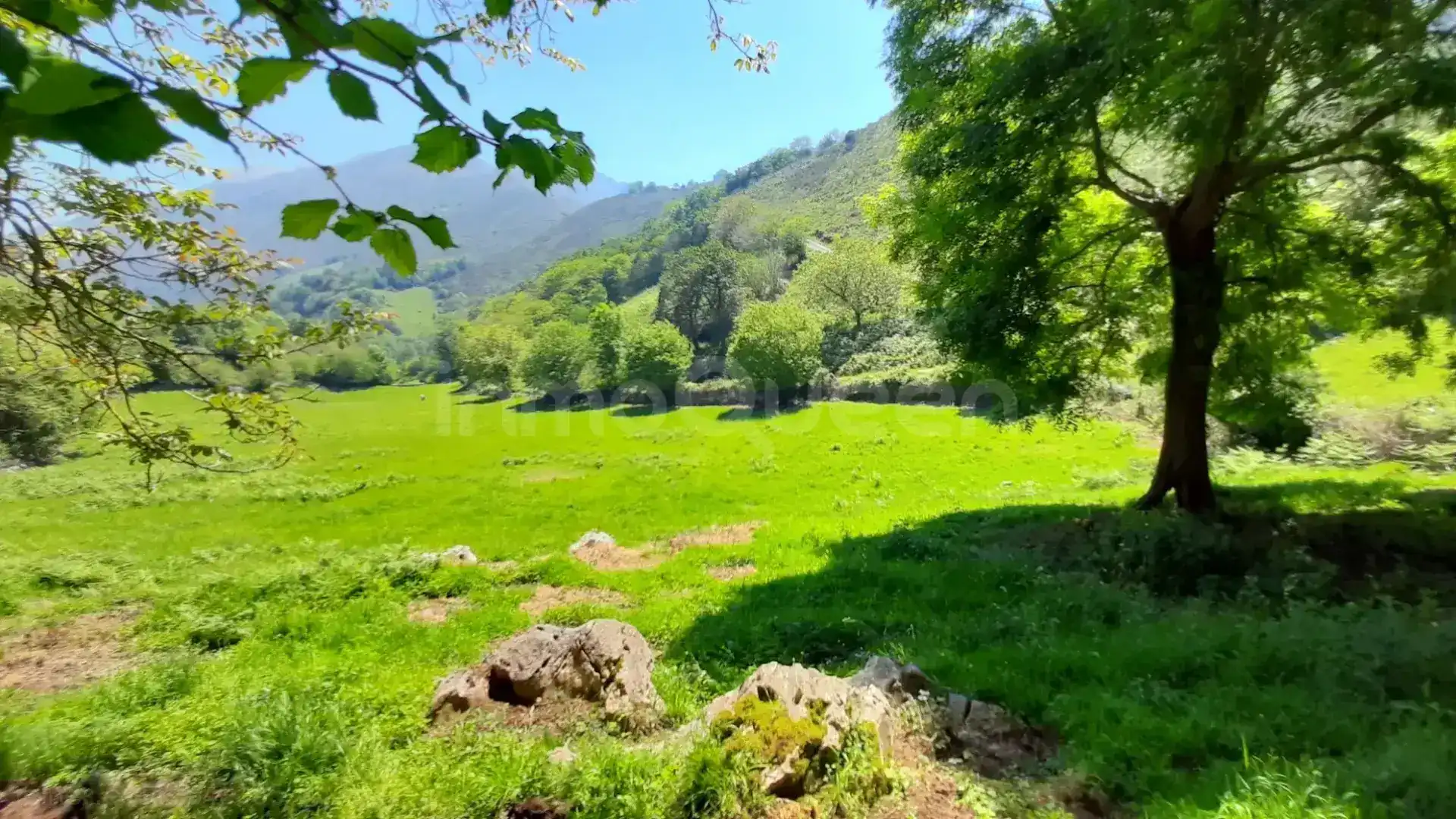 Terreno rustico in vendita a N/A, imagen 2