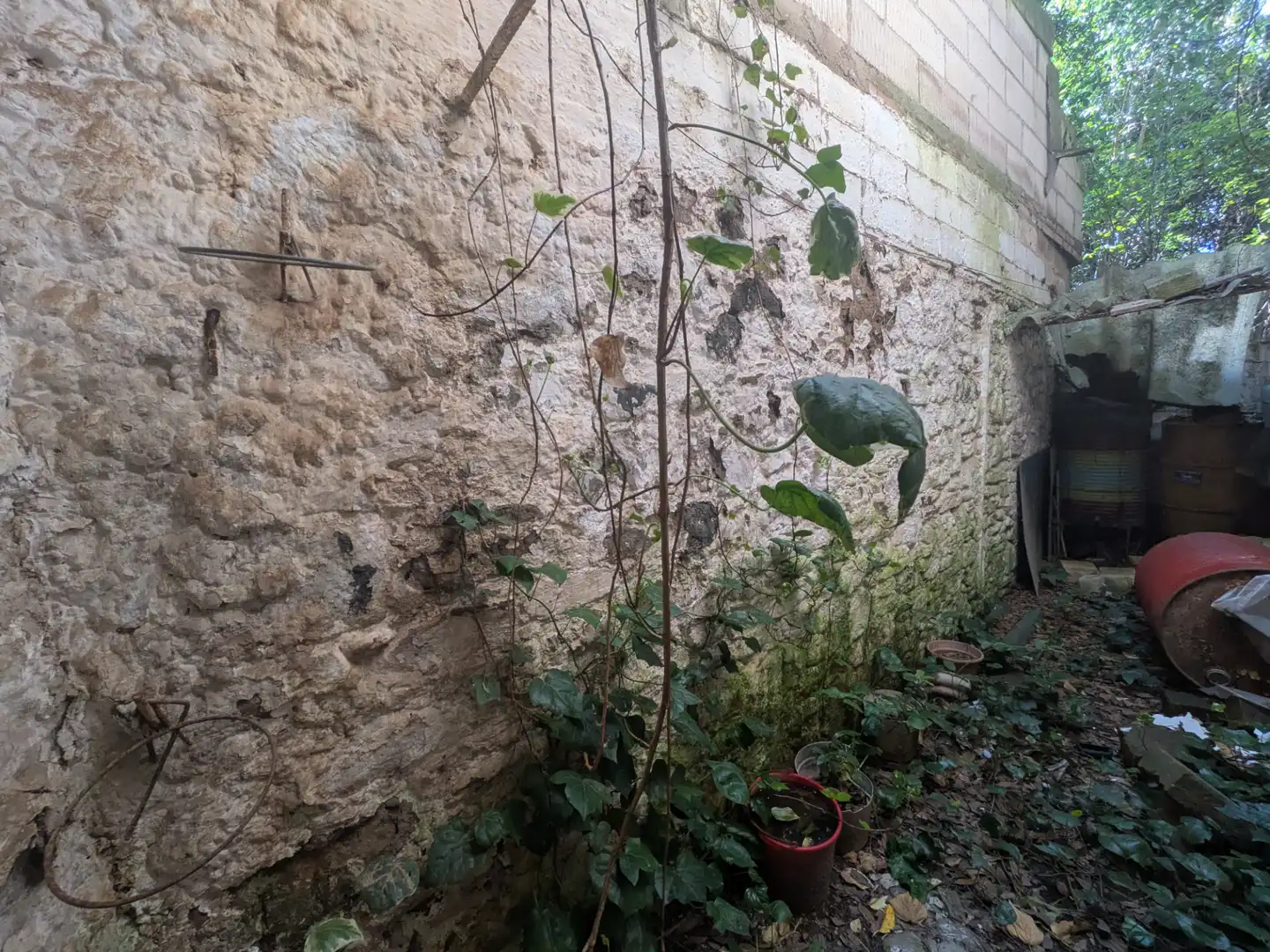 Jardín de Finca rústica en venta en Sallent