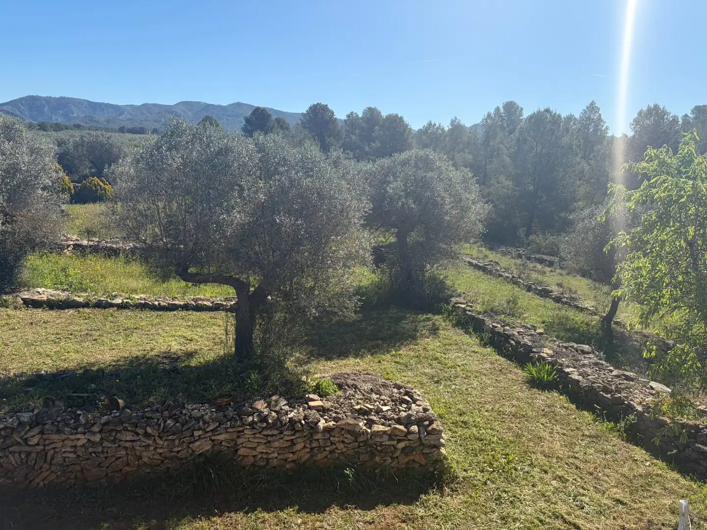 Finca rústica en venta en Tivissa