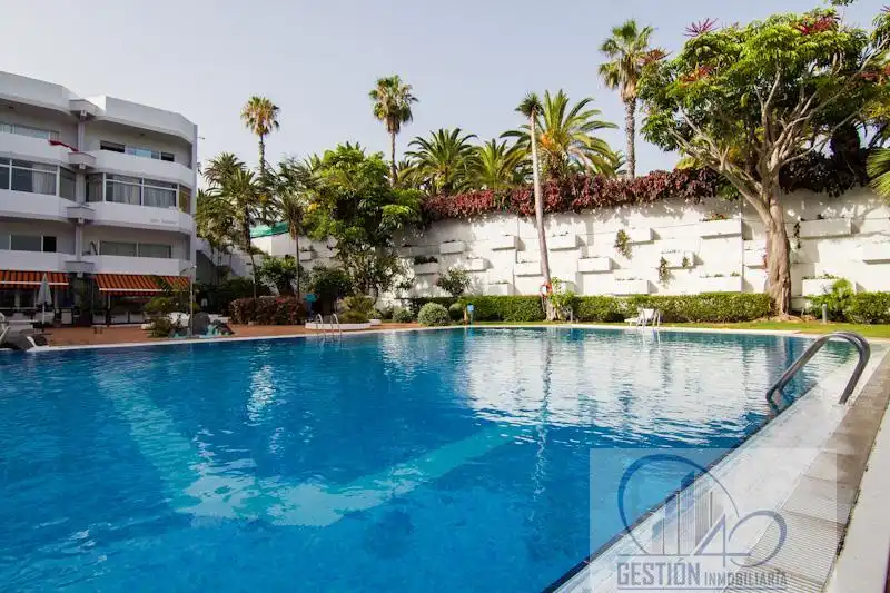 Swimming pool of Apartments for rent in Puerto de la Cruz  with Parquet flooring, Terrace and Furnished