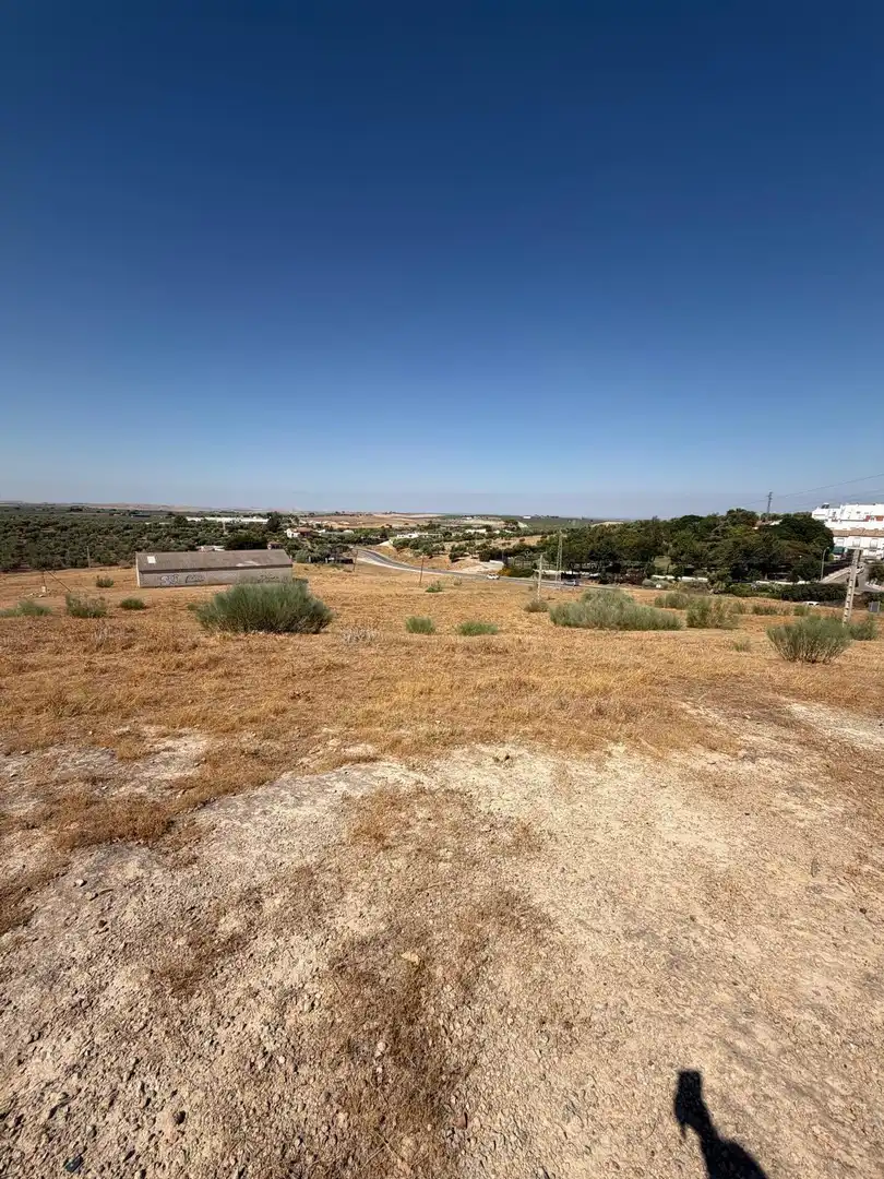 Terreno rustico in vendita a Morón de la Frontera, imagen 5