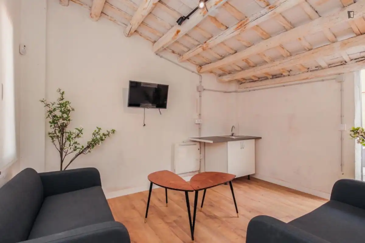 Room in Centre