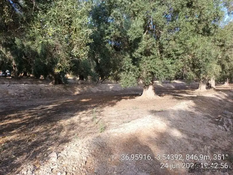 Terreno rustico in vendita a Calle poligono 2, parcela 207,208, Tomillar, Lecrín 0, imagen 19