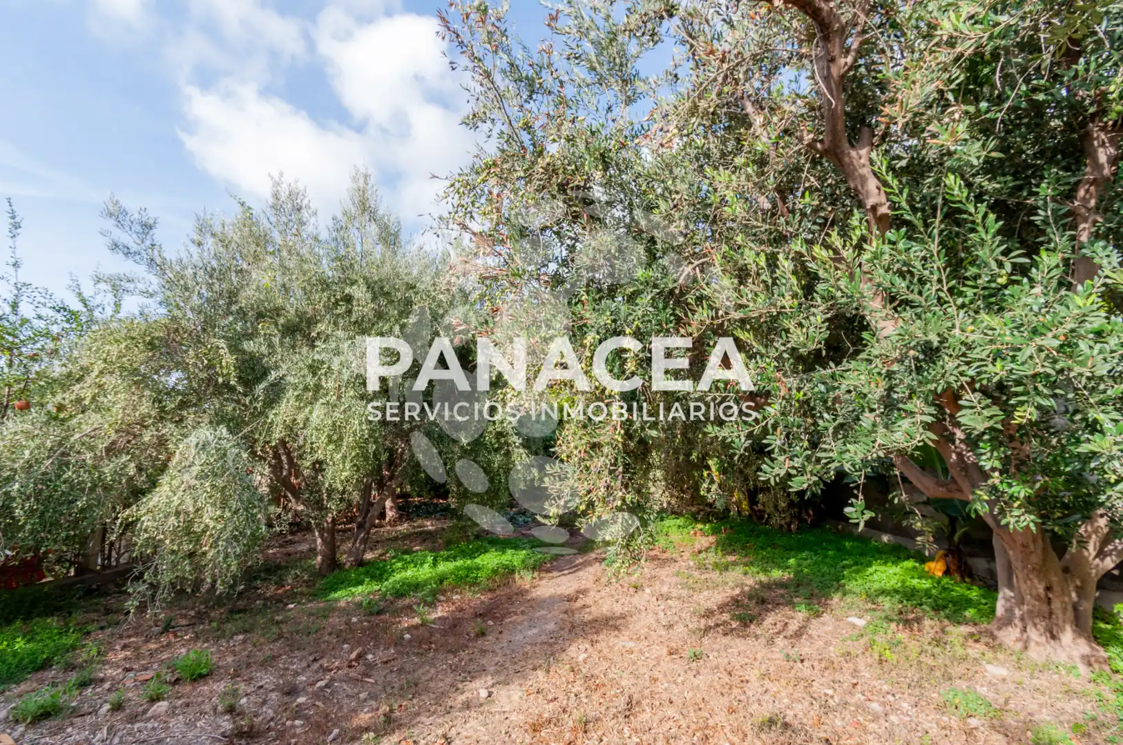 Finca rústica en venta en Vícar Pueblo