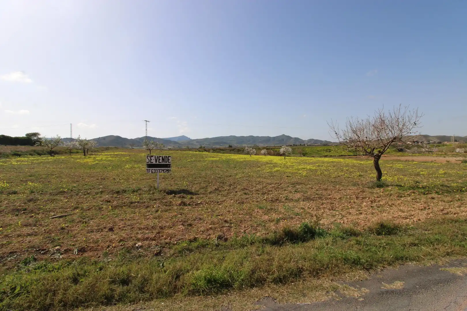 Grundstücke und Bauplätze zum Verkauf in Oria, imagen 2