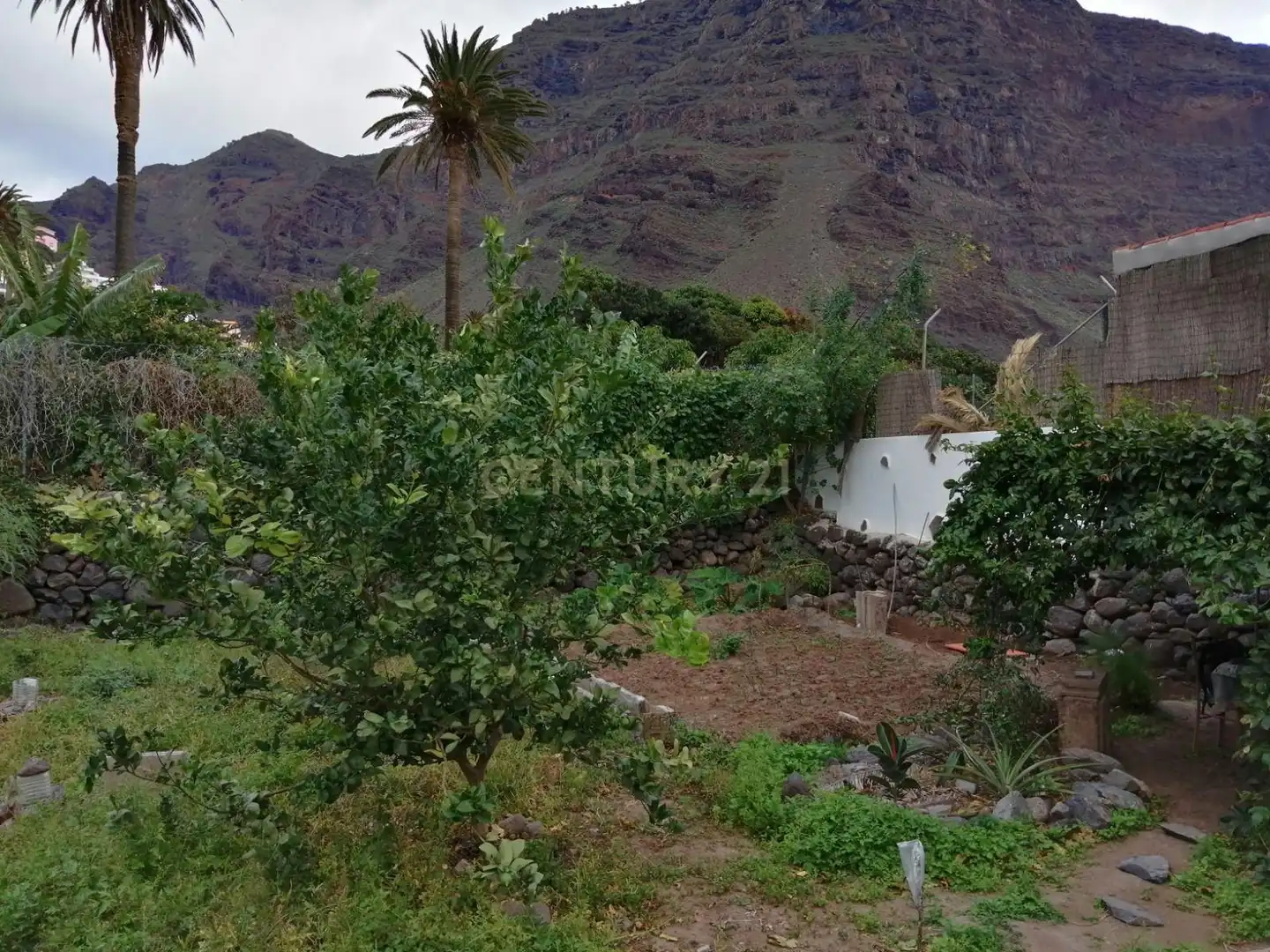 Land for sale in Valle Gran Rey