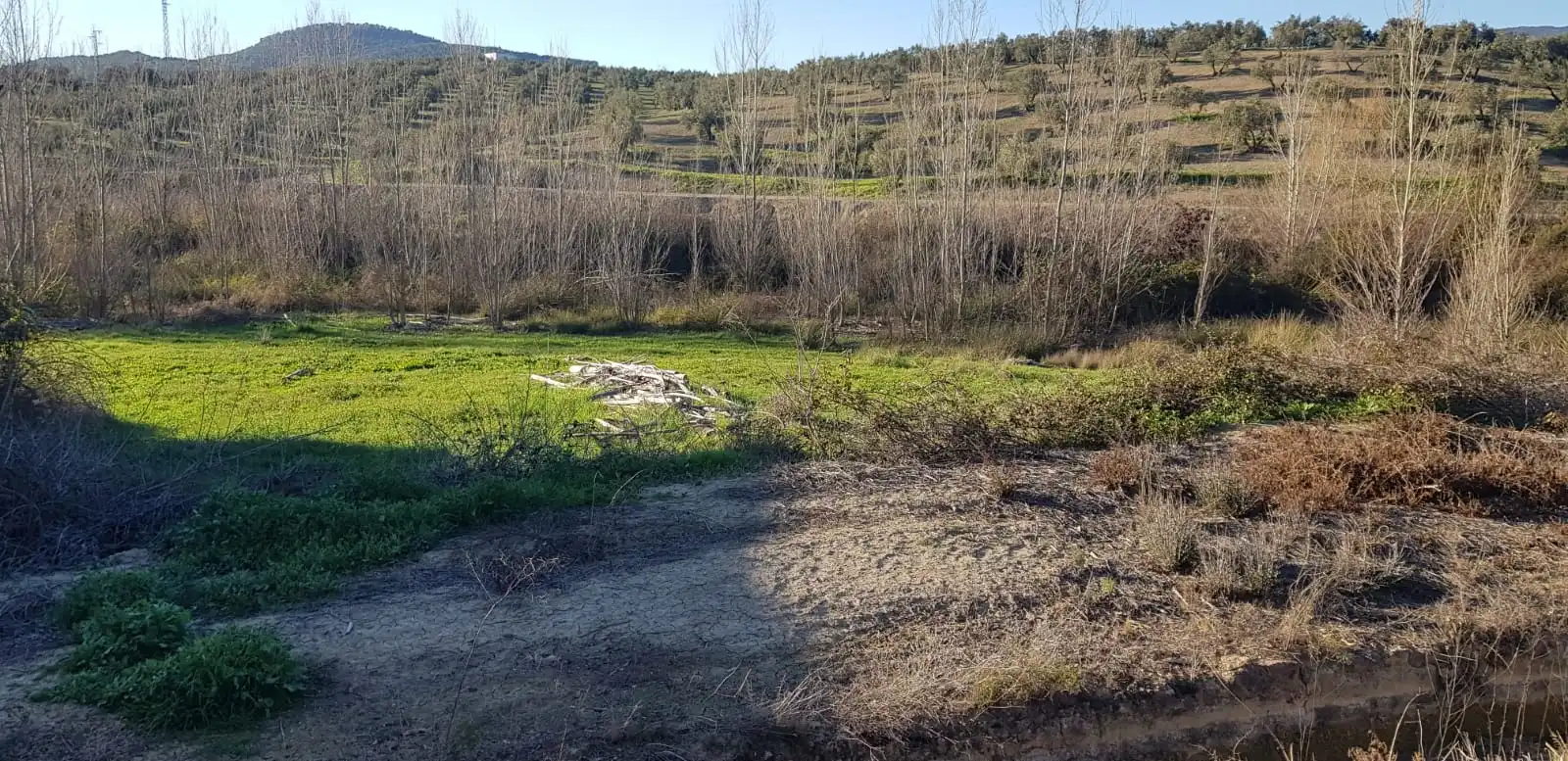 Terreni e lotti in vendita a Alcaudete, imagen 5