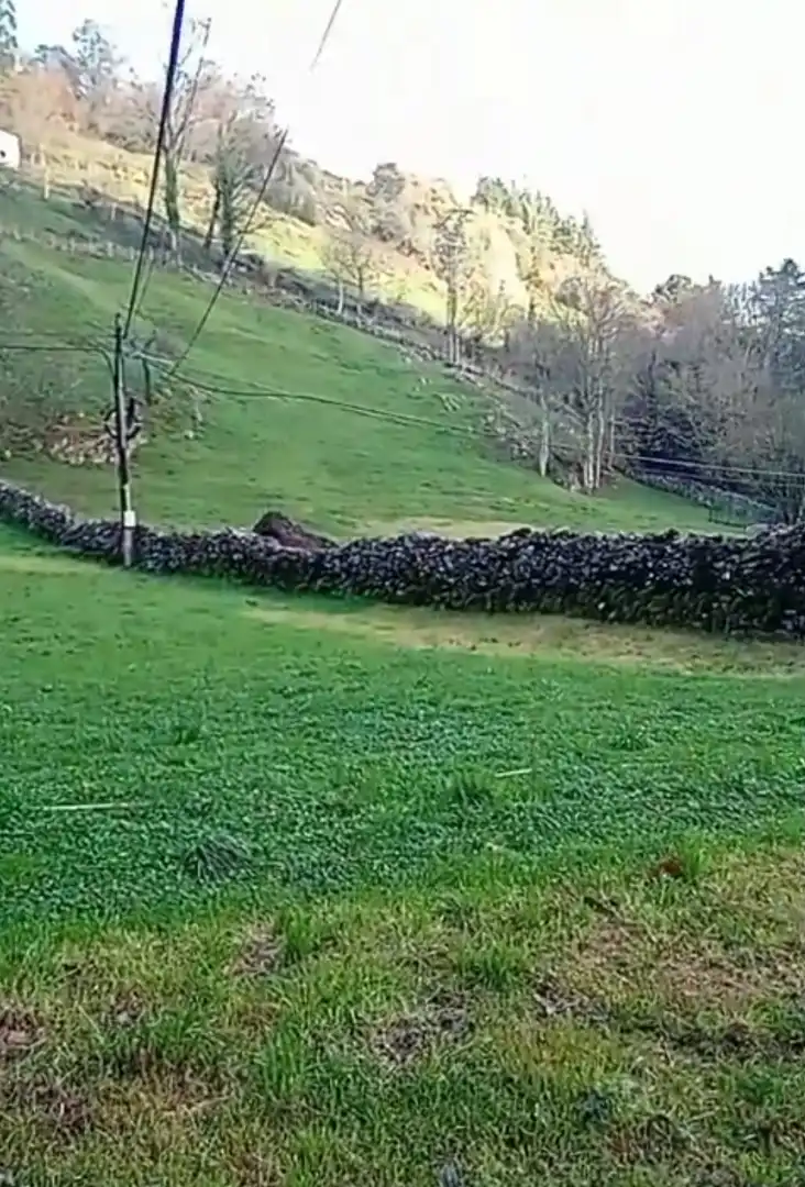 Terreno residenziale in vendita a Arredondo, imagen 3