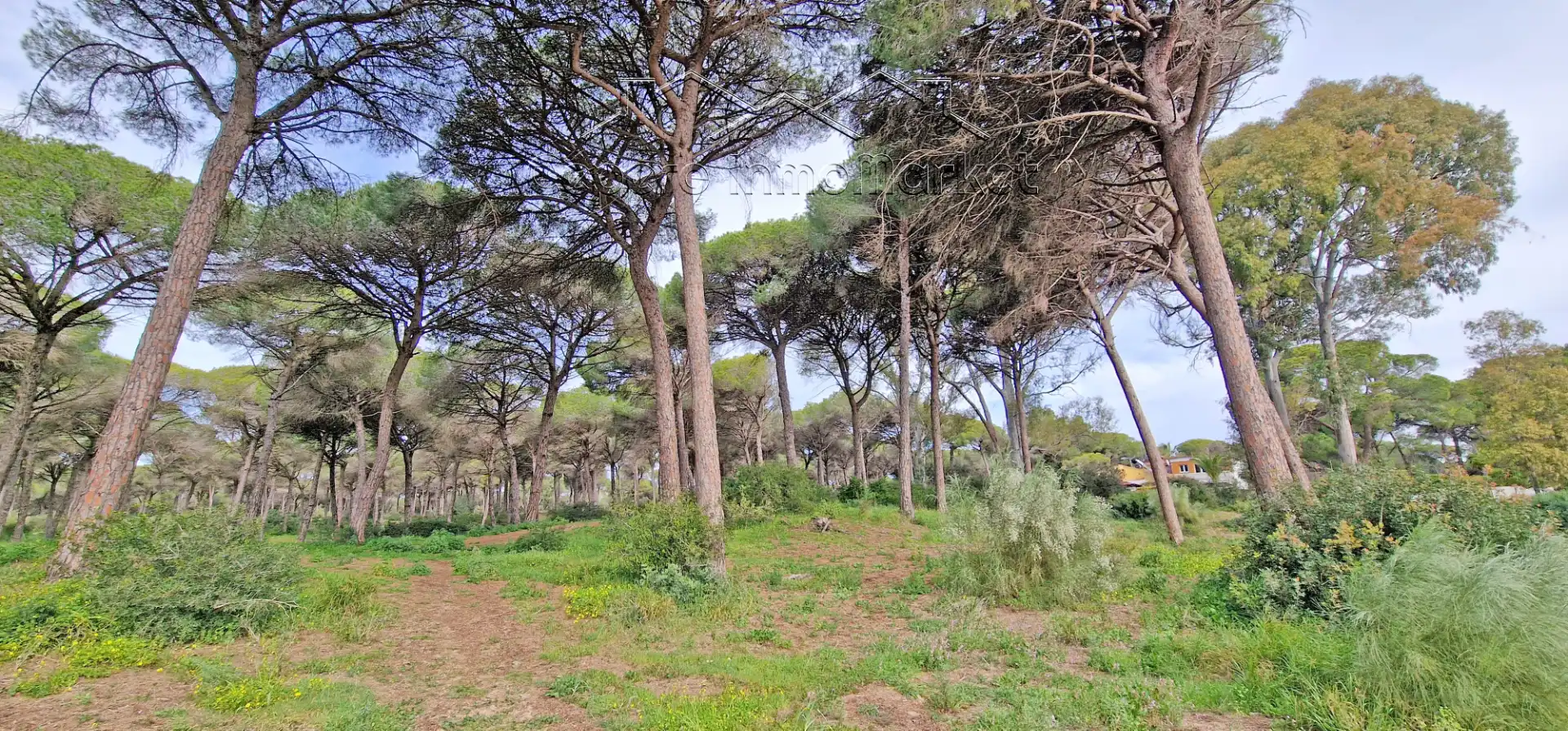 Casa adosada en venda en El Puerto de Santa María amb Jardí privat i Balcó