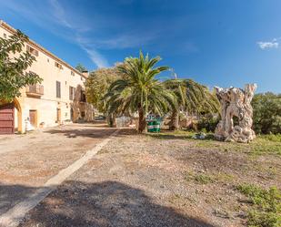 Finca rústica en venda a Carrer Can Mas, 26, Els pla de na Tesa
