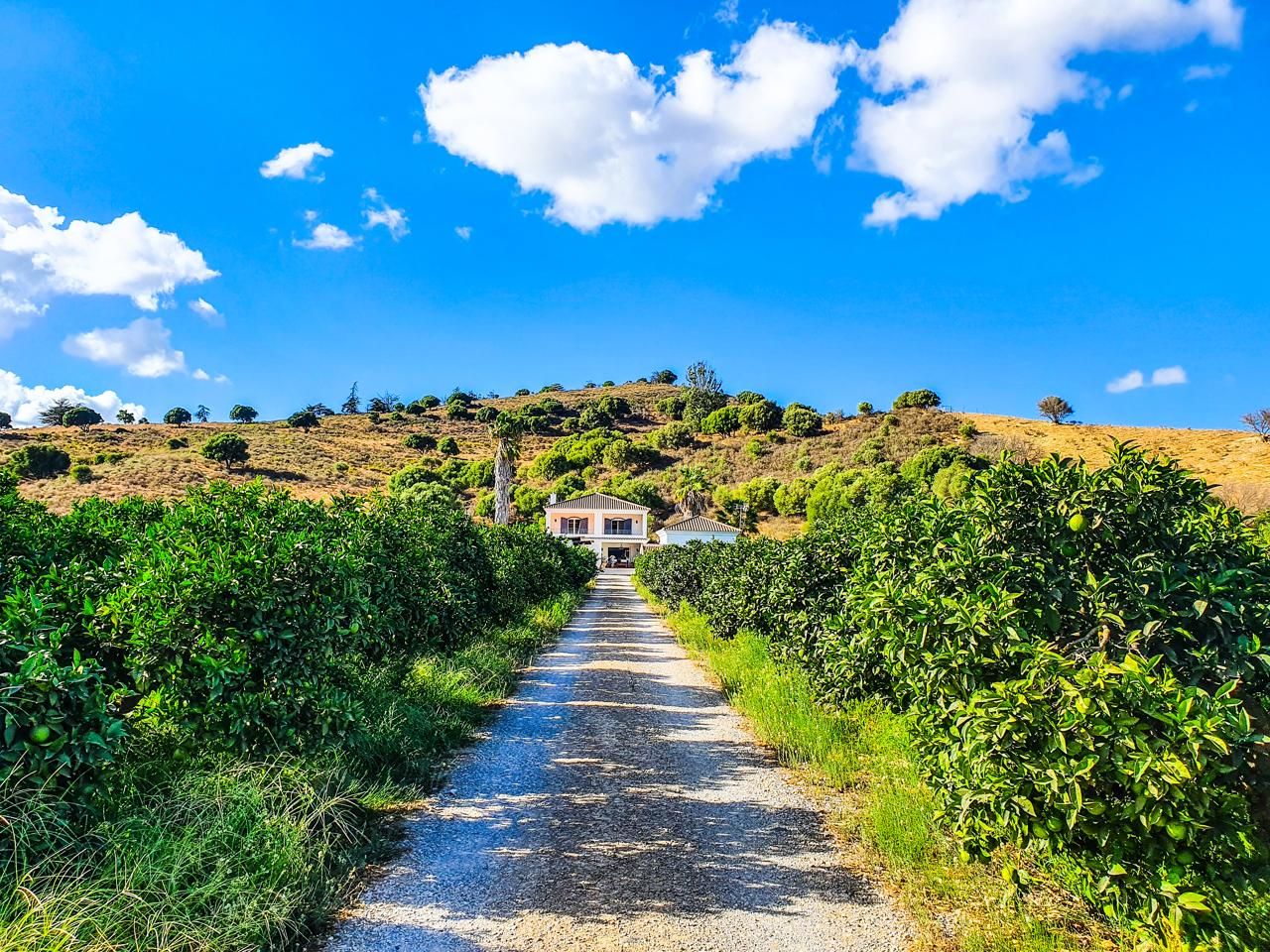 Country house for sale in San Martín del Tesorillo