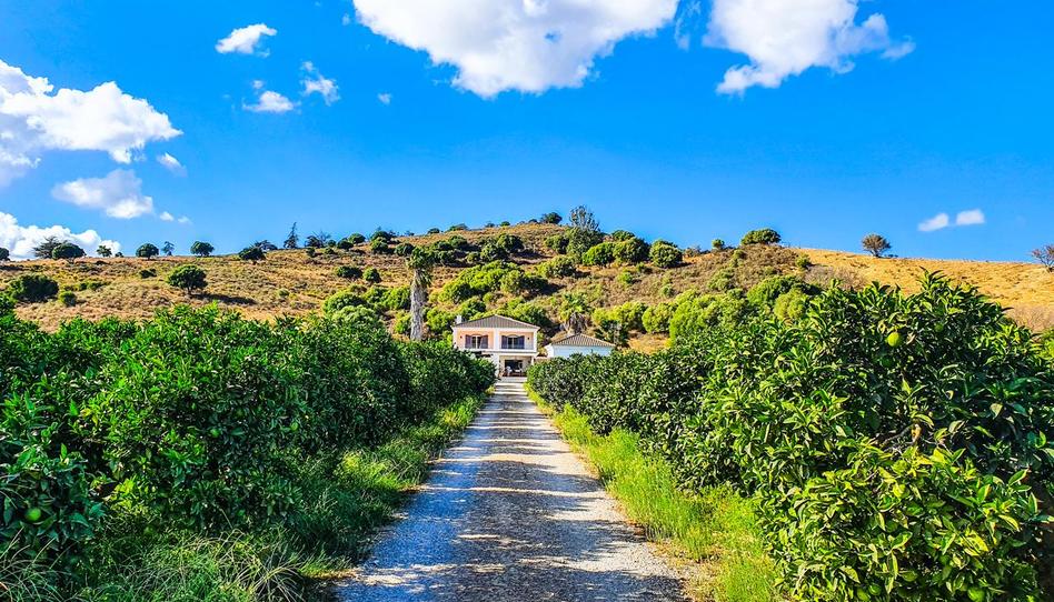 Photo 1 of Country house for sale in San Martín del Tesorillo, Cádiz
