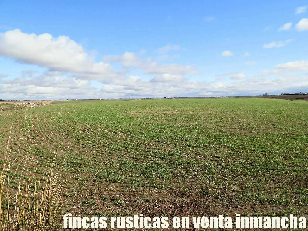 Terreni e lotti in vendita a Las Mesas, imagen 11